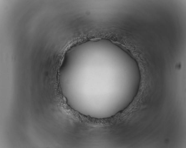 X0000111910144200907271044