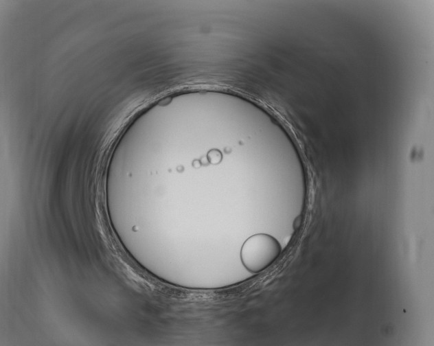 X0000111910145200907271043