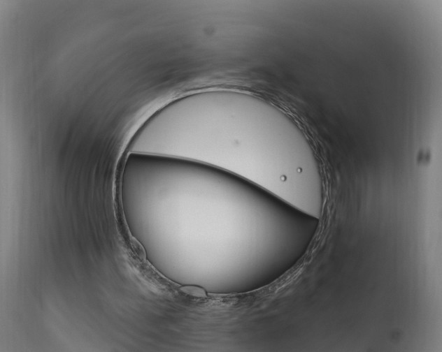 X0000111910148200907271043