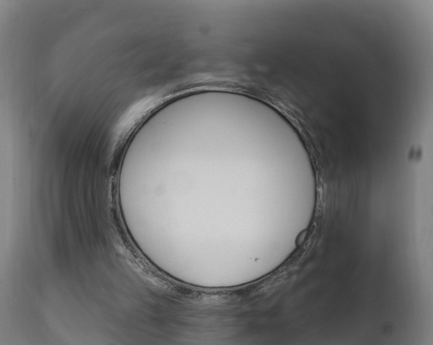 X0000111910149200907271043