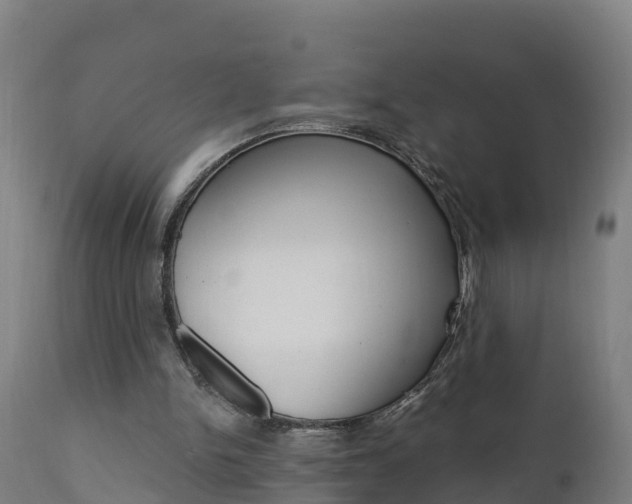X0000111910150200907271043