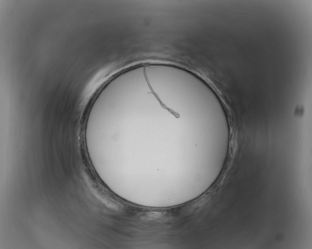 X0000111910151200907271043