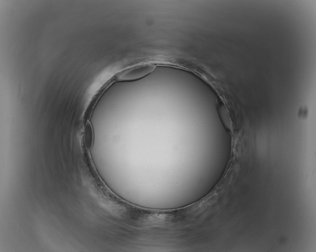 X0000111910152200907271043