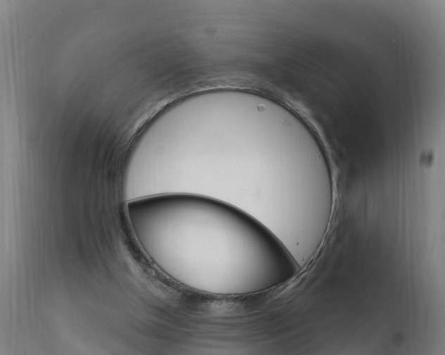 X0000111910154200907271043