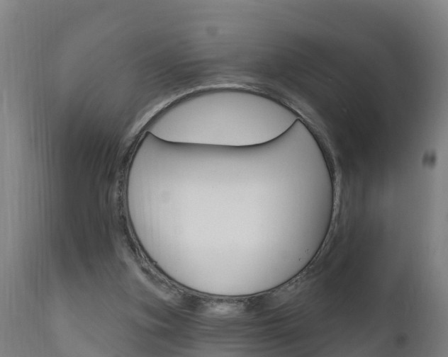 X0000111910155200907271043