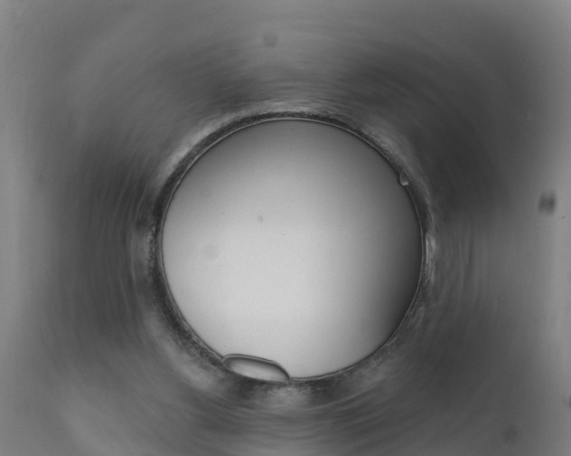 X0000111910156200907271043