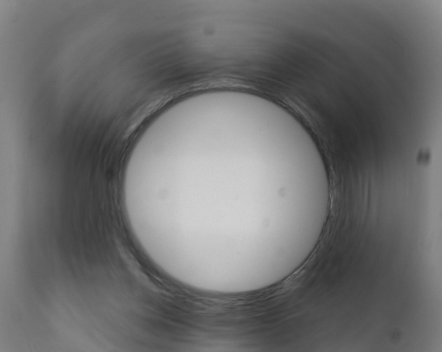 X0000111910158200907271043