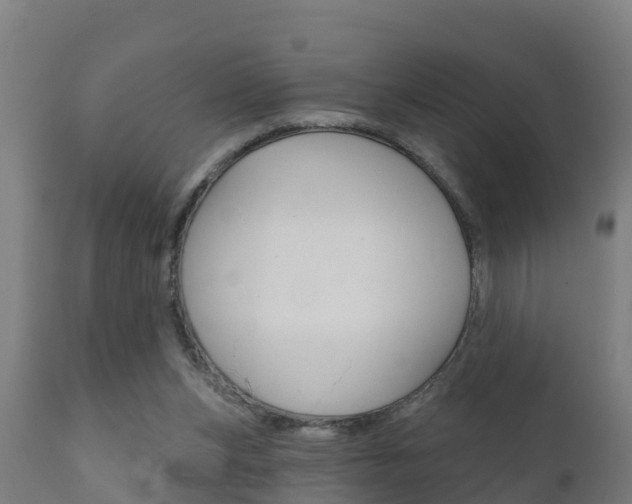 X0000111910159200907271043