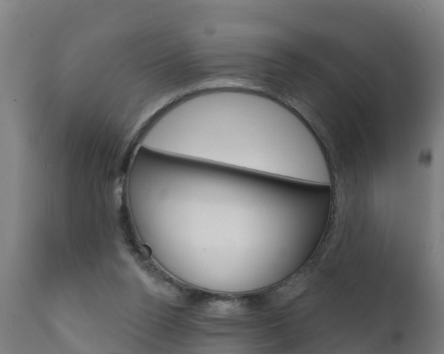 X0000111910160200907271043