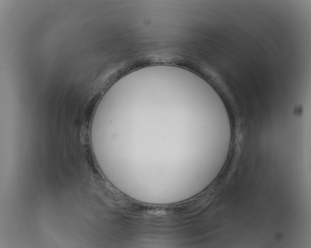 X0000111910161200907271043