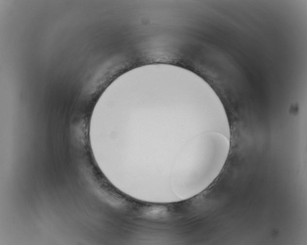 X0000111910162200907271043