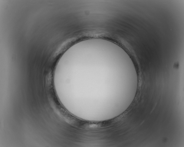 X0000111910163200907271043