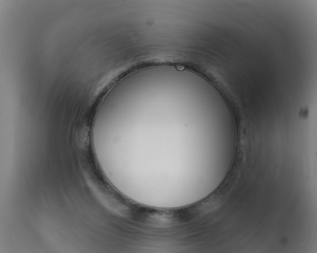 X0000111910164200907271043