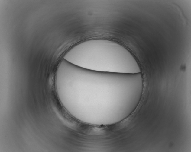 X0000111910166200907271043