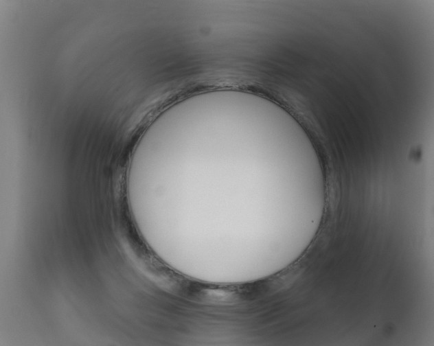 X0000111910167200907271043