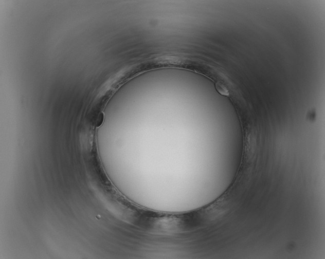 X0000111910168200907271043