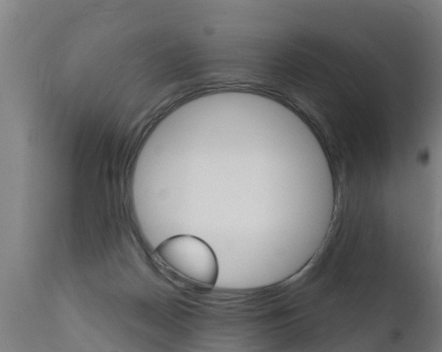 X0000111910170200907271043