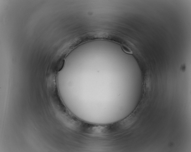 X0000111910172200907271044