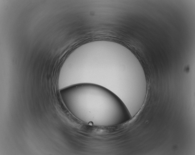 X0000111910174200907271044