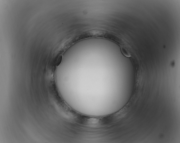 X0000111910176200907271044