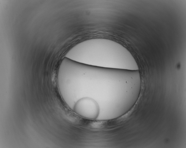 X0000111910178200907271044