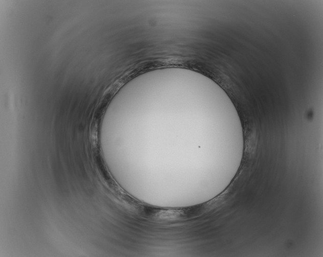X0000111910179200907271044