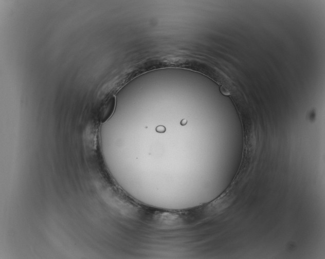 X0000111910180200907271044