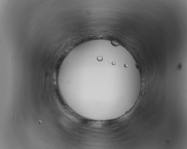 X0000111910182200907271044