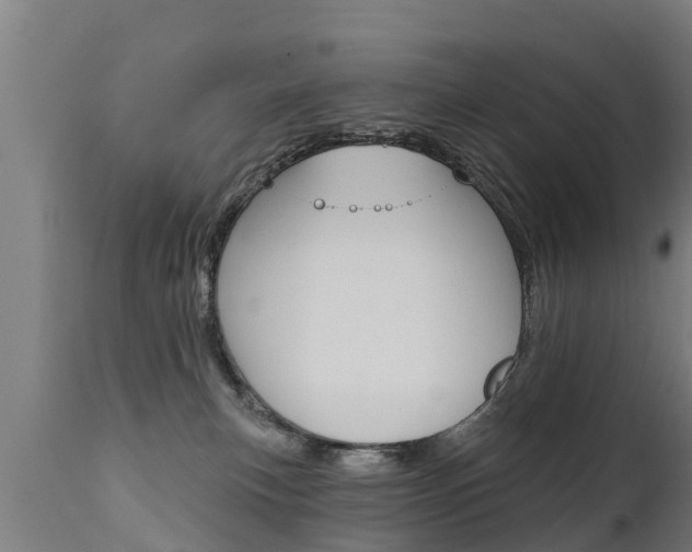 X0000111910183200907271044