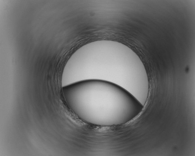X0000111910186200907271044