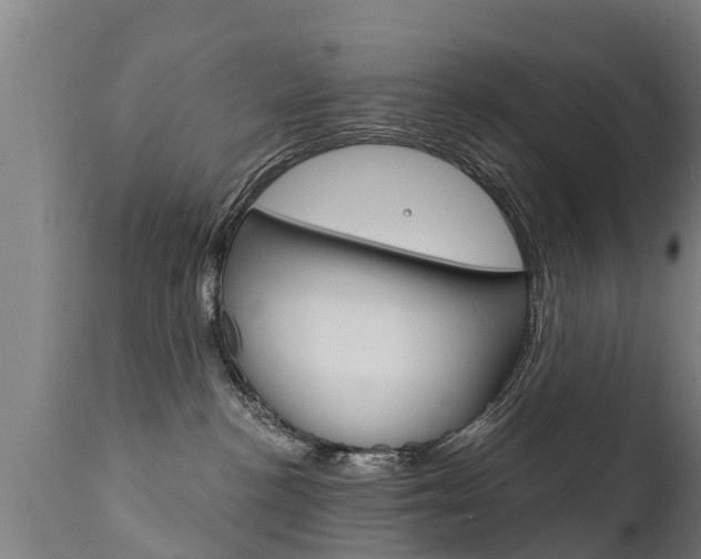 X0000111910188200907271044