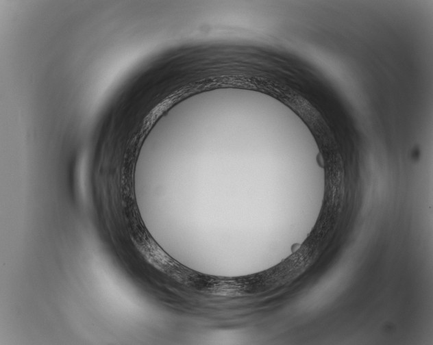 X0000111910189200907271044