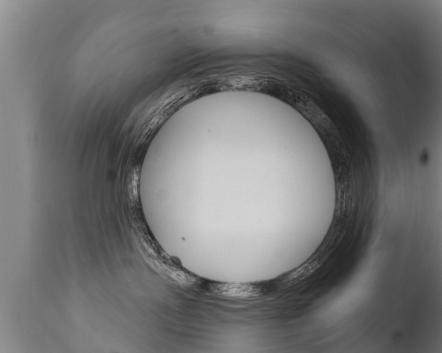 X0000111910191200907271044