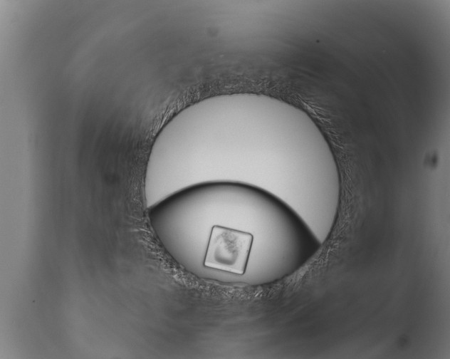 X0000111910192200907271044