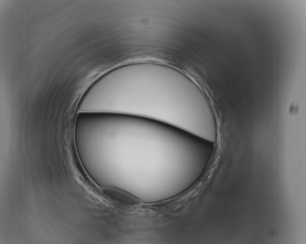 X0000111910193200907271043