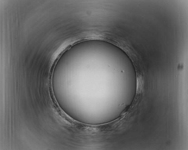 X0000111910195200907271043