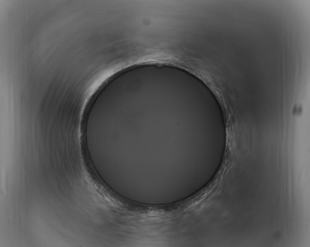 X0000111910196200907271043