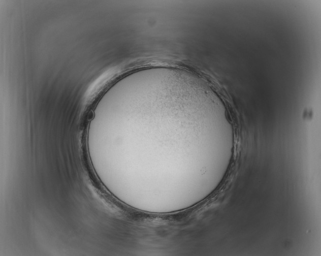 X0000111910197200907271043