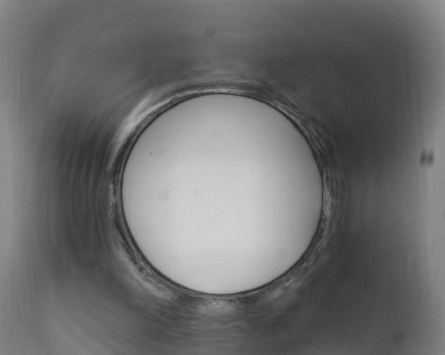X0000111910198200907271043