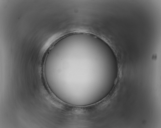 X0000111910199200907271043