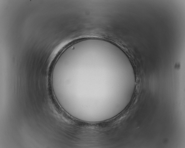 X0000111910200200907271043