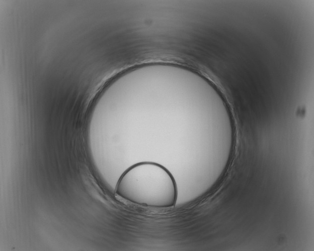 X0000111910203200907271043