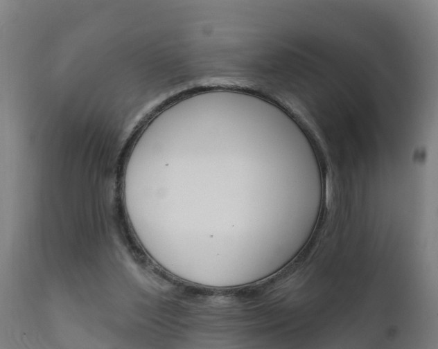 X0000111910204200907271043
