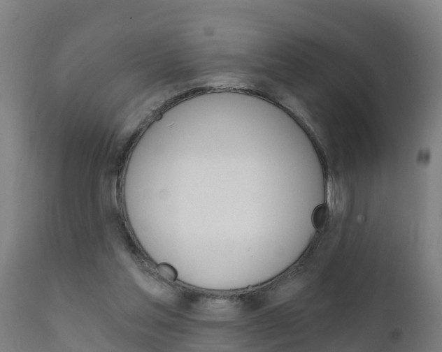 X0000111910205200907271043