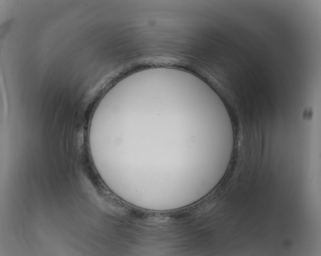X0000111910206200907271043