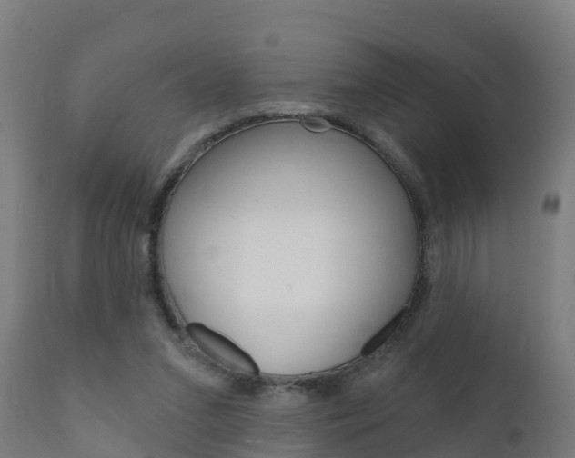 X0000111910207200907271043