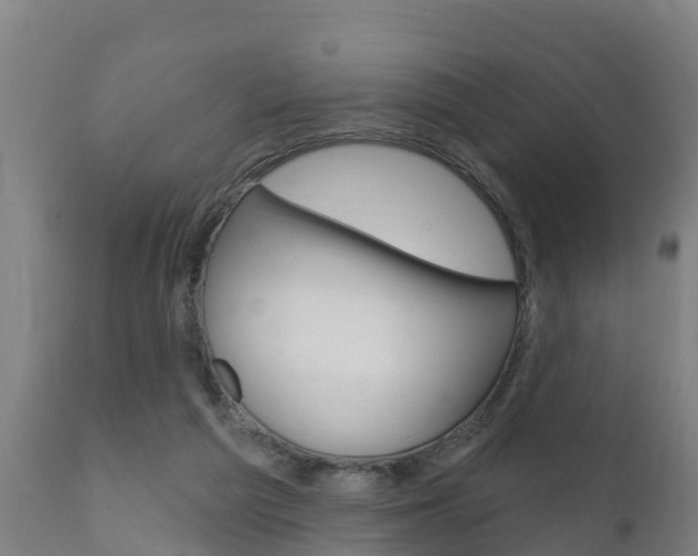X0000111910209200907271043