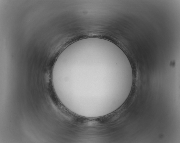 X0000111910210200907271043