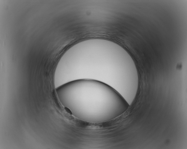 X0000111910211200907271043
