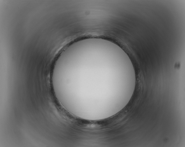 X0000111910212200907271043